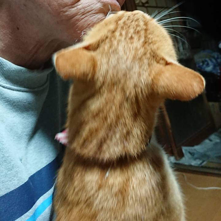 04c57b6d d7bb 47b9 aae9 5557100ae347 1601668288627