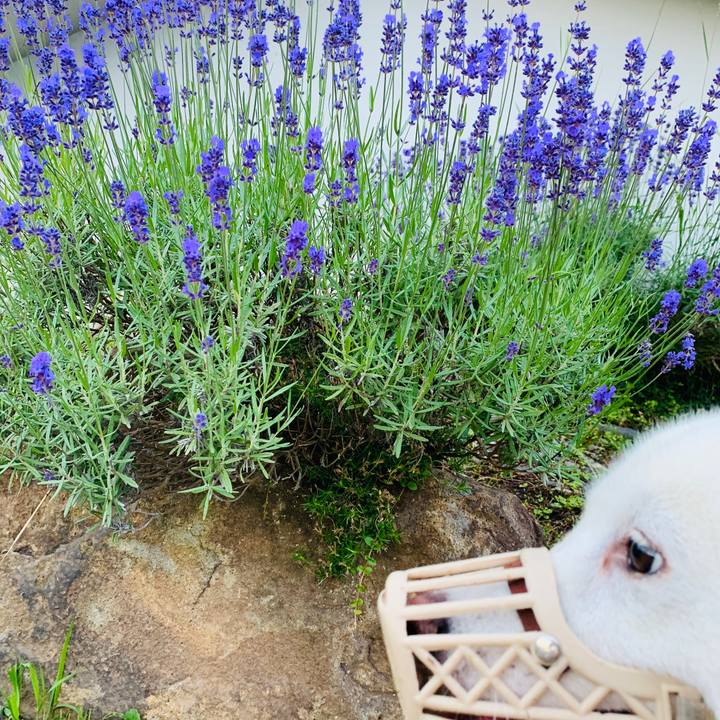 04c5c9c8 4891 4a59 87b8 4550f9e127af 1594758517064