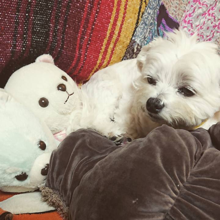 04c5fa4e 6ee0 4a11 b7fd 6ab3771f59c5 1605015158398