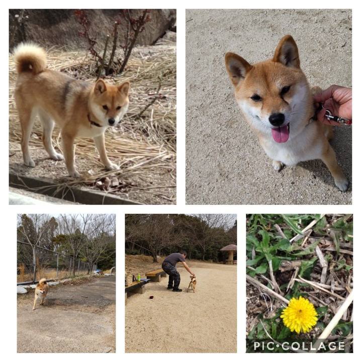 04c5fba8 c377 4387 81ec 3de52082e2c9 1647492927404