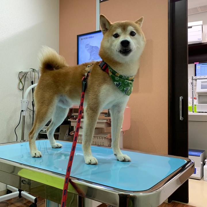 04c61e41 9099 441c bf66 da5306bda58e 1599297012012