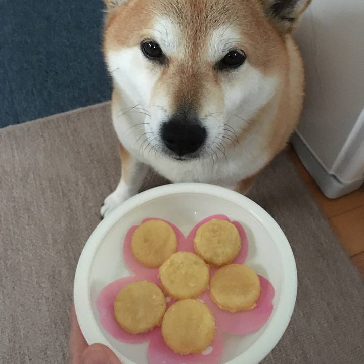 04c62b8e 7bb9 4f98 9470 2921634de20d 1610421610655