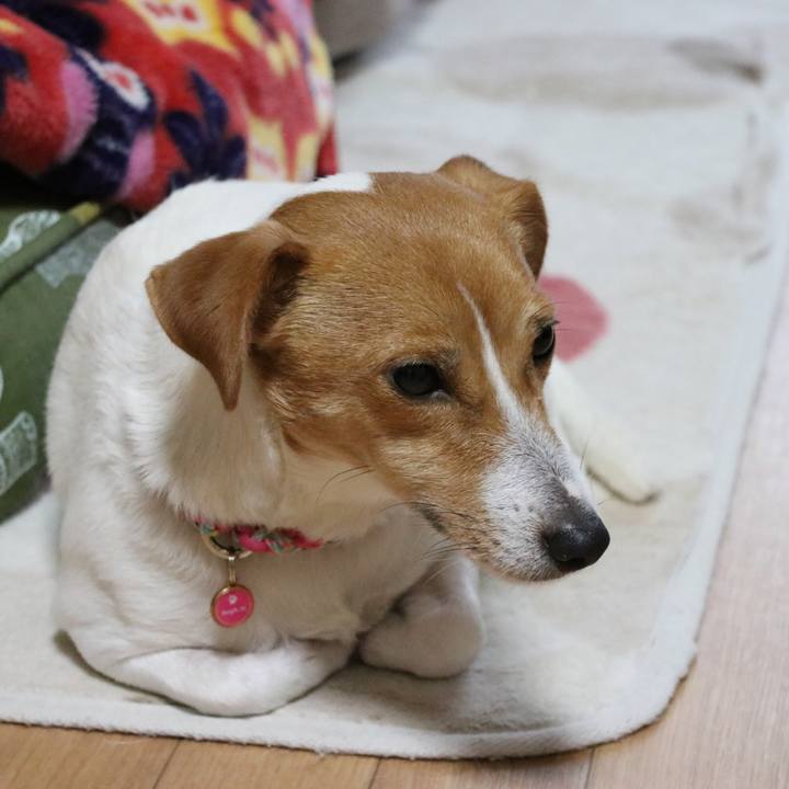 04c63b1e 4dd6 436a 9c0c 9a0b250ee471 1514630203514