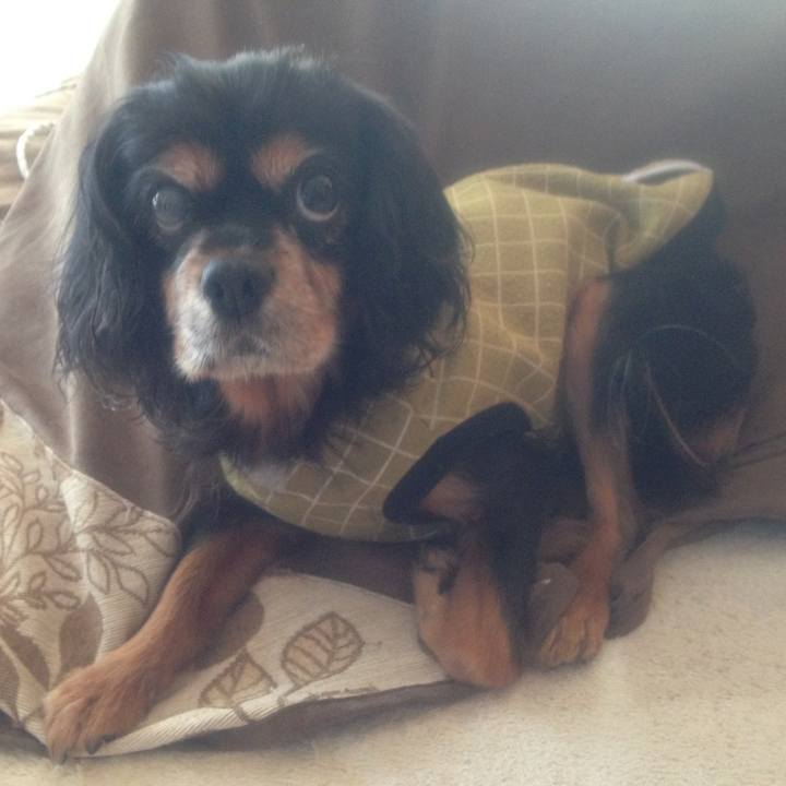 04c64675 07c9 4324 9e78 e92683d1d757 1518152248438