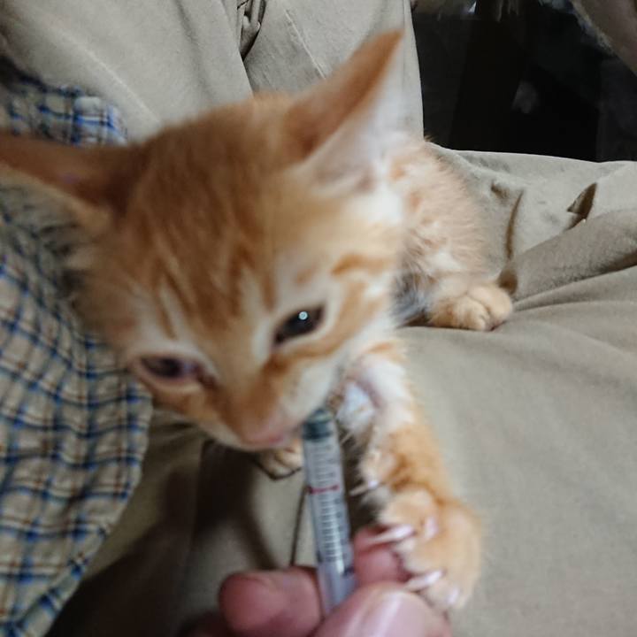 04c65261 3177 44bf bb73 ea5e65d9ee53 1629111573659