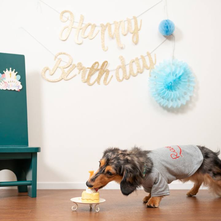 04c653da 153d 437b 901c a60c3c236b78 1721735858340