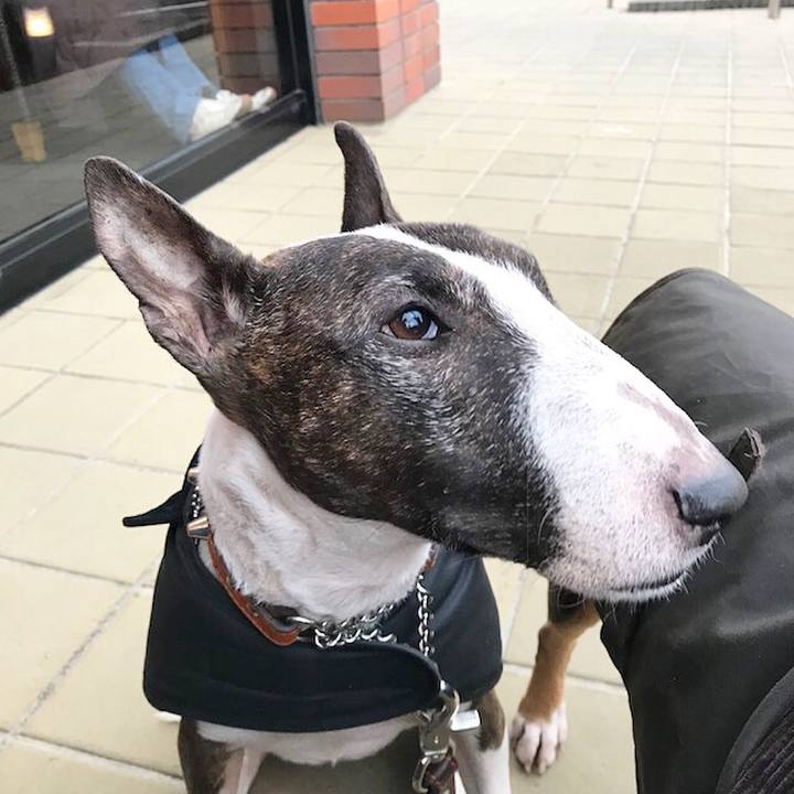 04c66f4d 0327 4af4 b967 67db13c0f21c 1518336452057