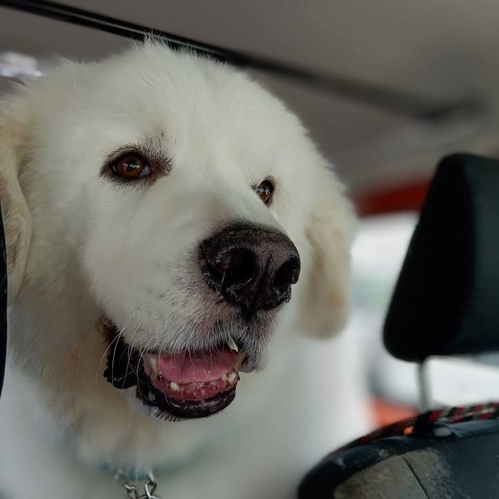 04c672de 6580 4790 b002 2c6a2fe05730 1722143473997