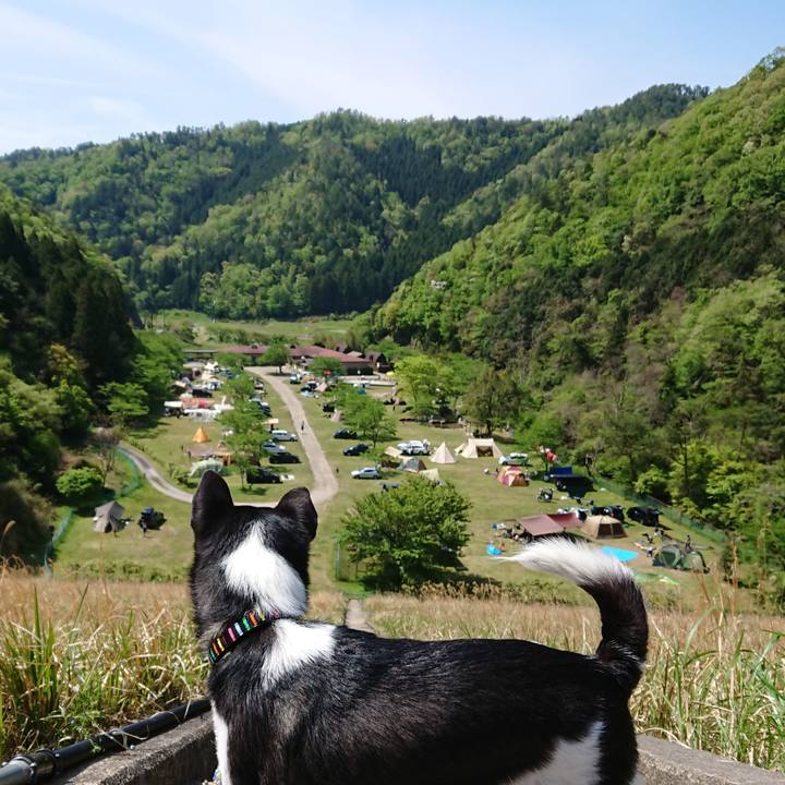 04c68a73 0385 4315 adee cc731328e1e0 1557023656045