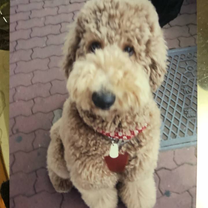 04c690e5 5f68 4705 aee2 9cc182e8f52e 1526474184760