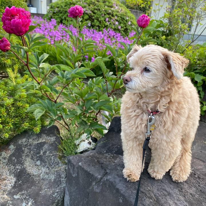 04c6e760 78aa 442f aad1 3ea194ce8af1 1683460659088