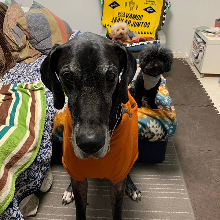 04c6ecd9 26fb 4499 af55 73c625fa8872 1576191028638