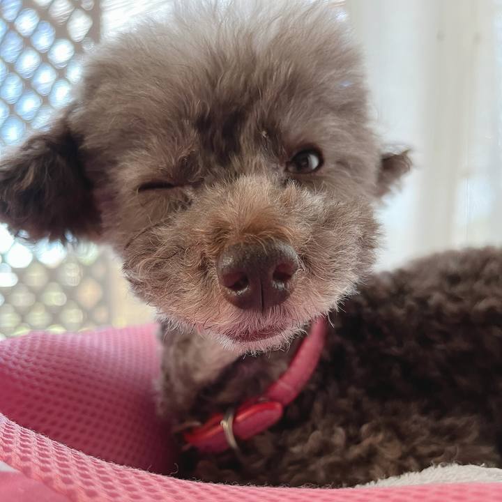 04c6f650 51c1 4f0b 8733 e97f0ff28247 1664749360542