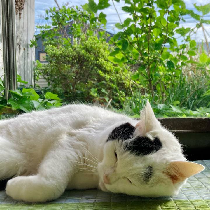 04c7096c d678 411f 8830 539dd0a9a813 1683098521266