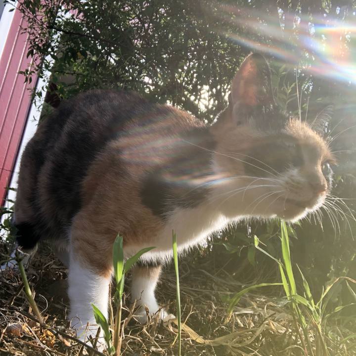 04c75ae6 1dc9 4e00 9d7e b3201d059084 1597710551445