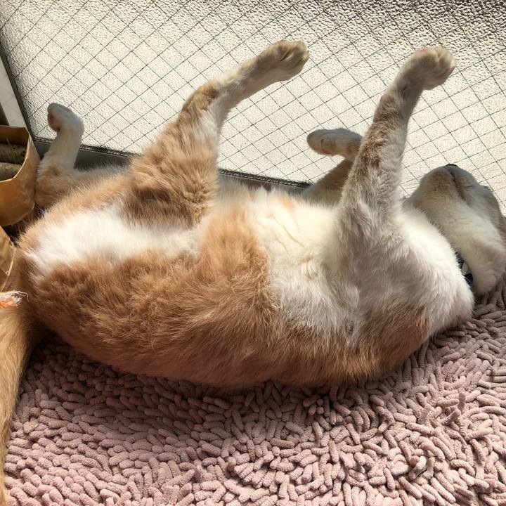 04c762da 0167 48f8 ac82 cddfd552c652 1557447756822