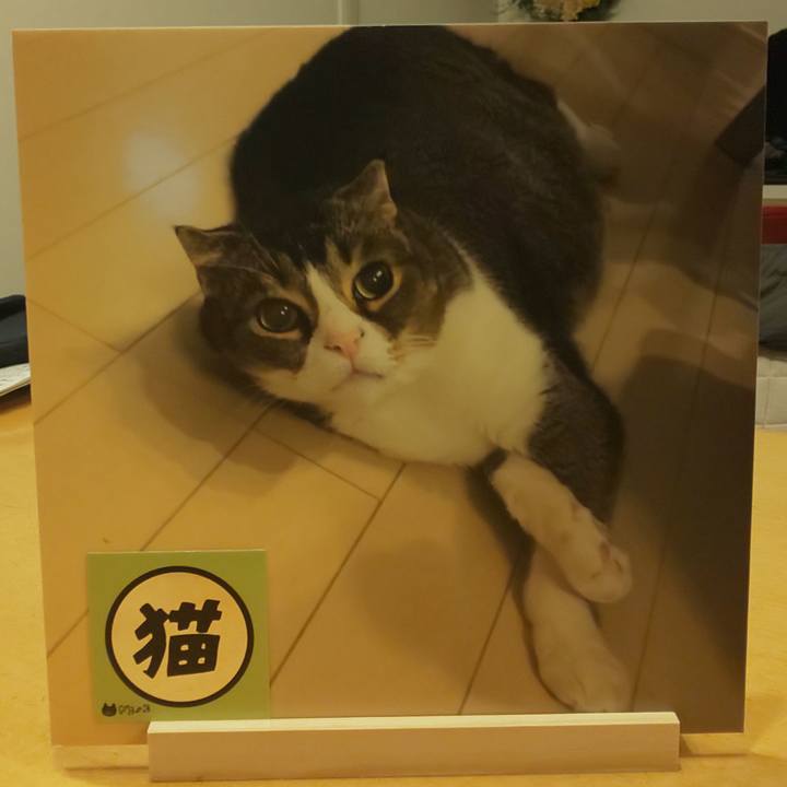 04c771af edad 455e bda8 e9fe5f96a968 1765705457216