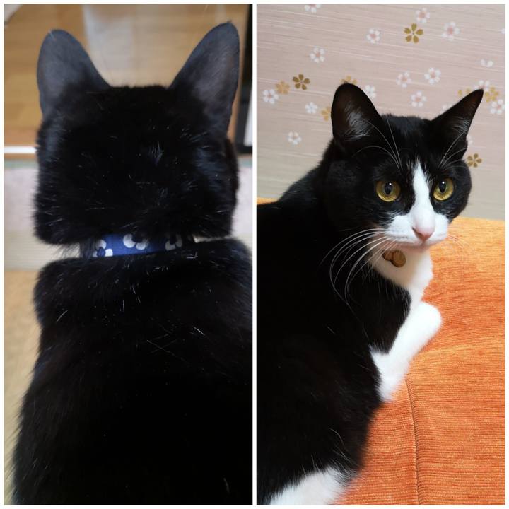 04c780ba e905 4aa9 8146 9be7fffd706f 1571232541103