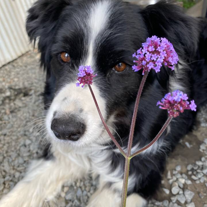 04c78175 2d8f 4c99 b41c 4e5b736abe1d 1620089864928