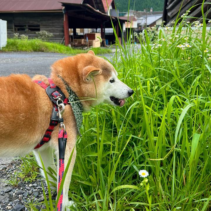 04c7c9f0 d227 4778 87ae 95153ae2d7b2 1721216673933