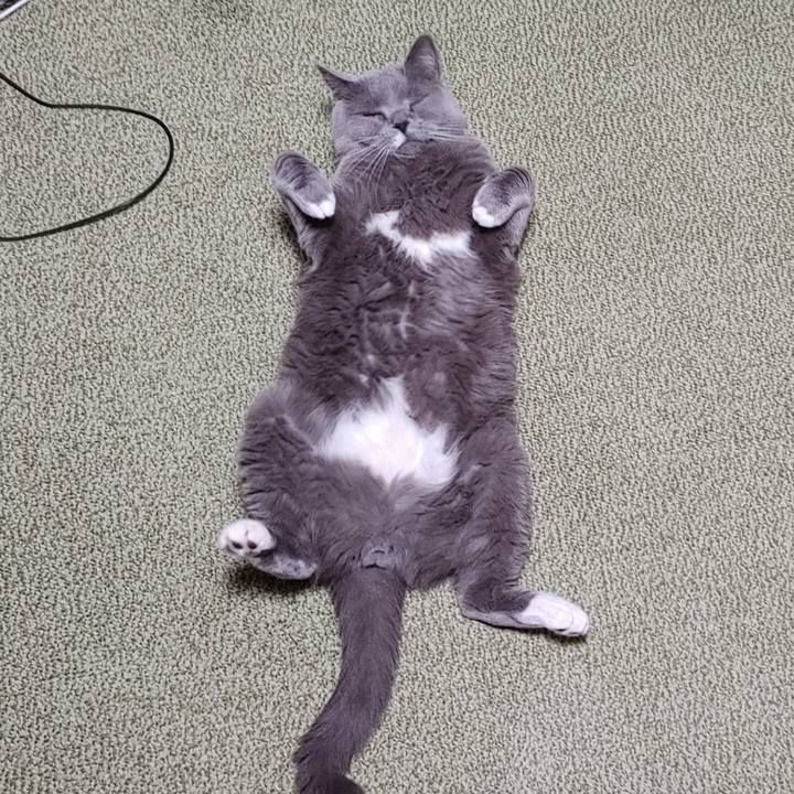 04c7cfa7 b36c 4798 bd48 1f5b569da81a 1678615079854