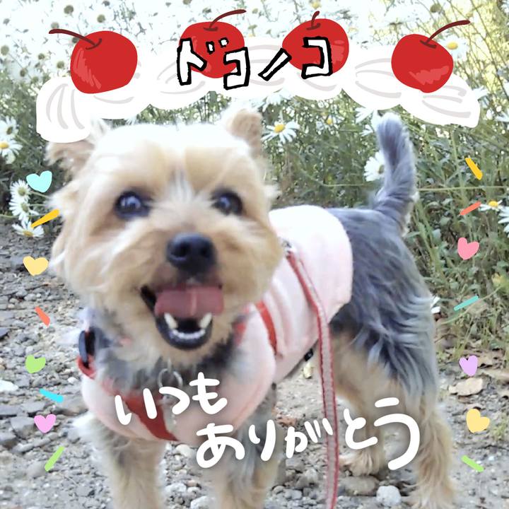 04c7eca2 541e 4352 a707 e388de4db945 1685961568817