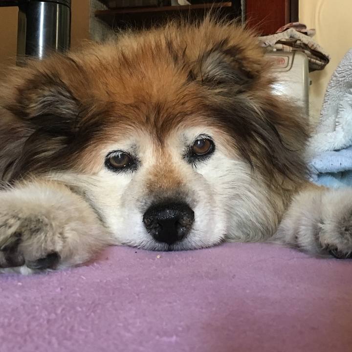 04c83b85 2d82 4f4d a9c9 fd0836025621 1591598574215