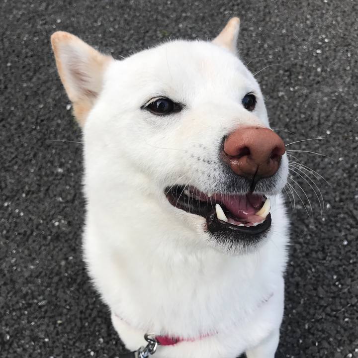 04c846b8 1387 4b6f 8233 f8cf5c16ae7c 1519691652580