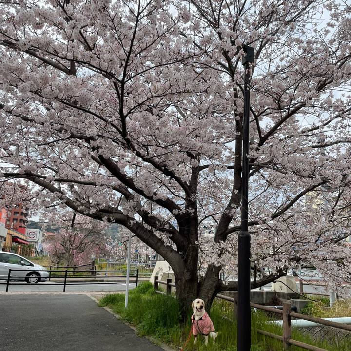 04c87892 ccda 431c 98fa fa8a0ba2d976 1648890607862