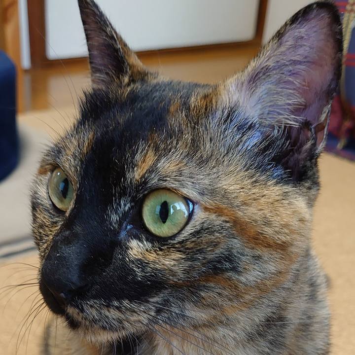 04c8efeb c956 4b08 8cd4 37b32258c74f 1758973076738