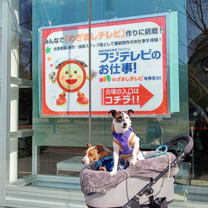 04c922a0 fe68 4f32 8a4d c9fcd997da56 1645941418138