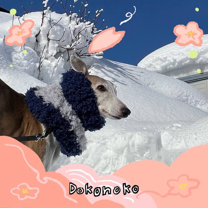 04c94ad8 f26f 42aa a56f 9f73c97f9078 1775290318833