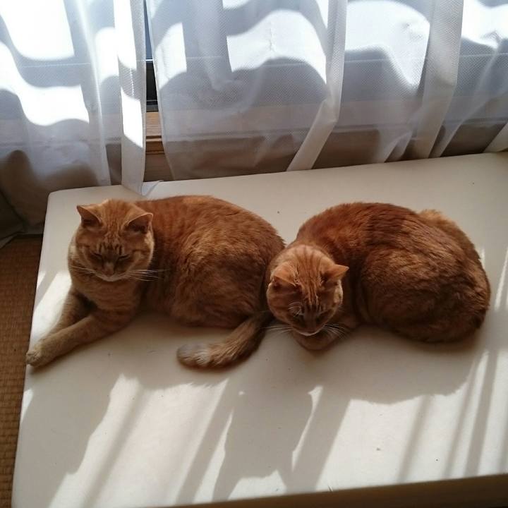 04c95782 c732 49d3 98a9 d0c6f1e5b529 1542251413352