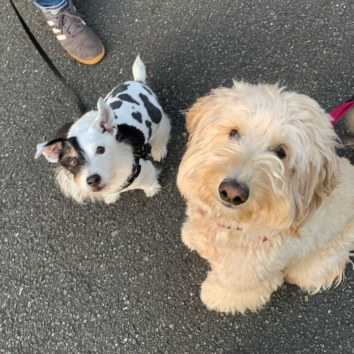 04c98cbb 62ce 41bc a3cf 583349386b52 1733901726433