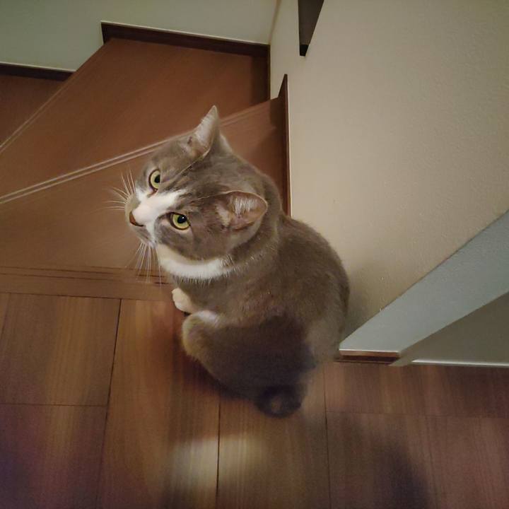 04c99463 49e7 43c4 9805 f9d5604e80d2 1680997569290