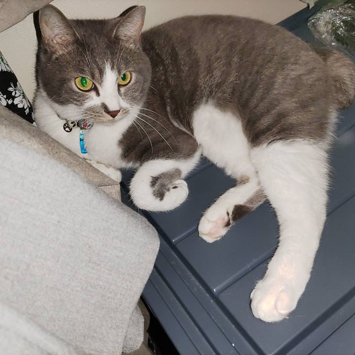 04c9a402 9ca6 4e7e 8281 7a1e5ce7807d 1687225000918