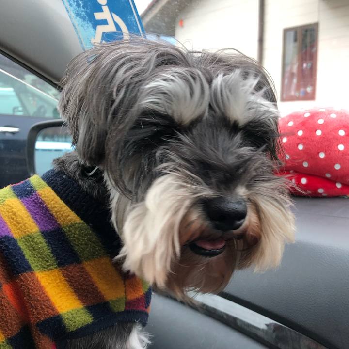 04c9b506 efb4 49e7 8e82 05f41d9eeead 1549708120936