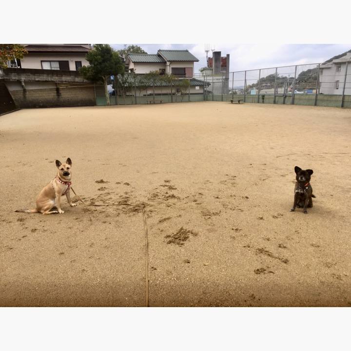 04c9c11d 04d4 4ac3 972e 253d97e3a7f1 1550400656453