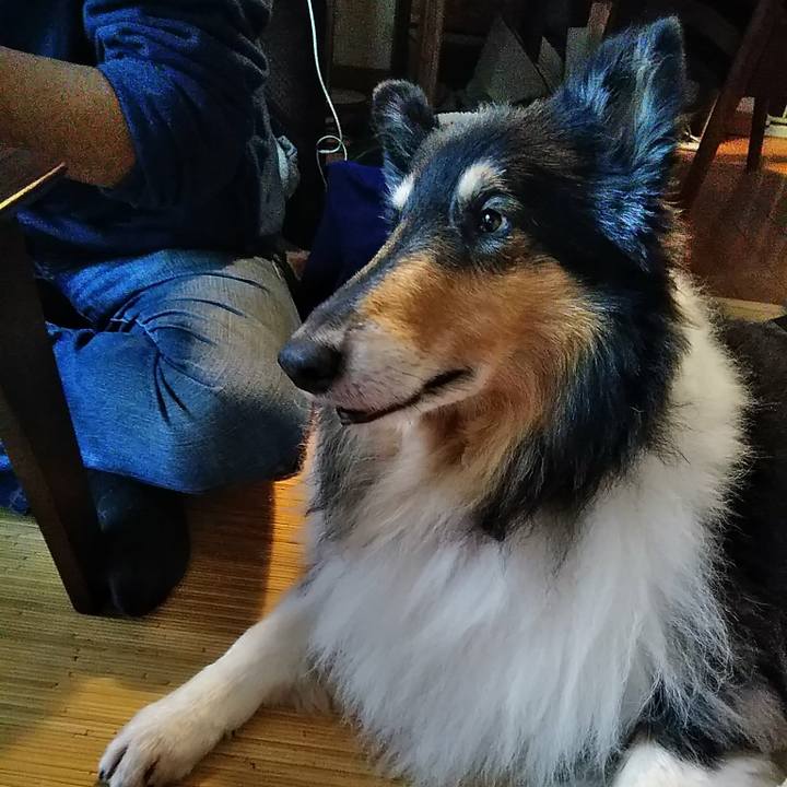 04c9d1c2 369d 422f 923b 23faea43b439 1507991650012