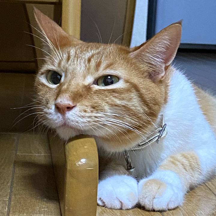 04c9d615 2b08 4862 ab3a c5313358e0de 1659778567537