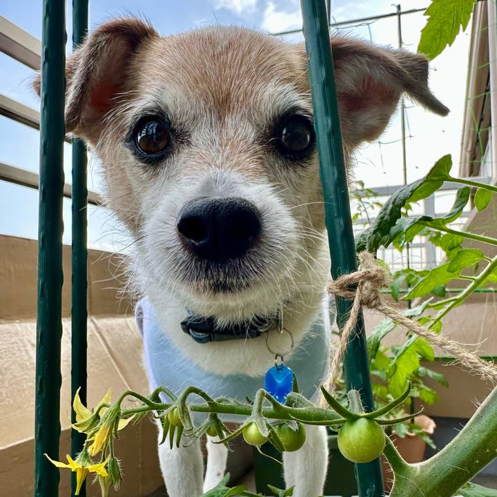 04c9dd54 842f 4da5 8784 7dbcfdafe0a3 1685235643909