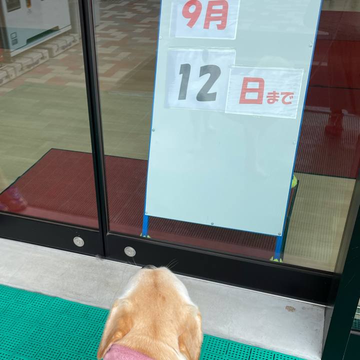 04c9df0f 0419 4139 9a5c c4aa86ad46a3 1631003643662