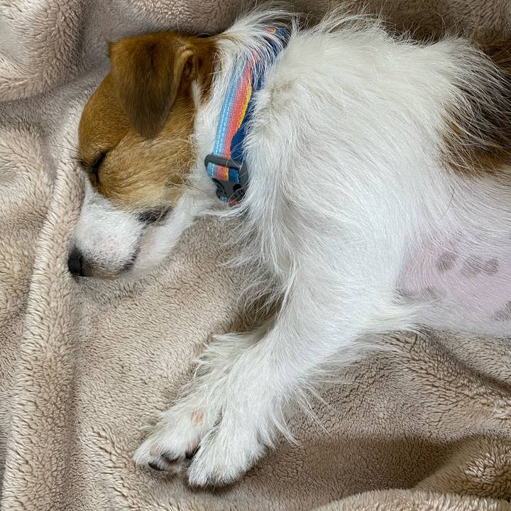 04c9e914 4326 4279 8277 cff5030fa913 1697548721153