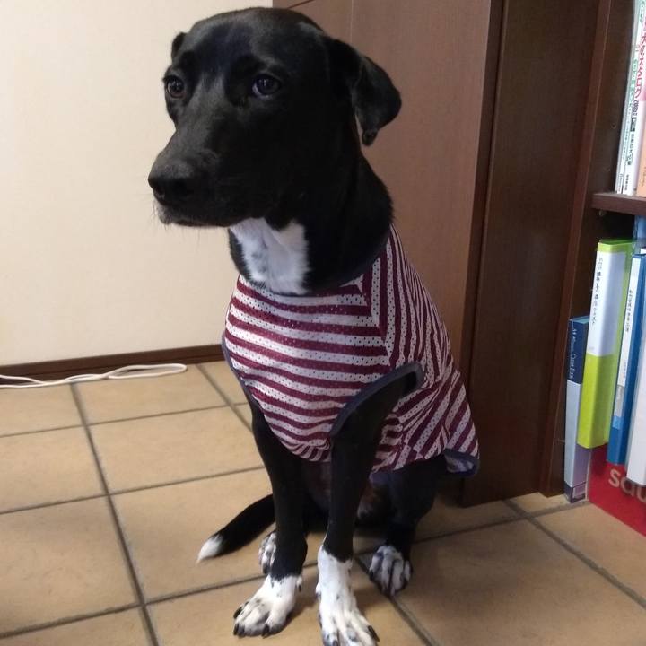 04c9f9f2 c906 44c6 9ad5 0a06e3de6c10 1592196181424