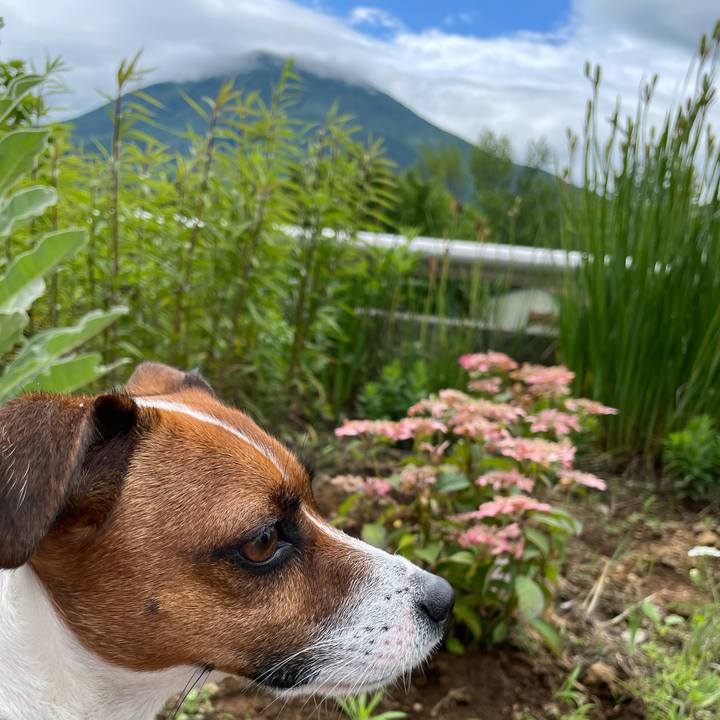 04ca1073 6796 4495 a4d6 b774ccad1ad7 1625225805921