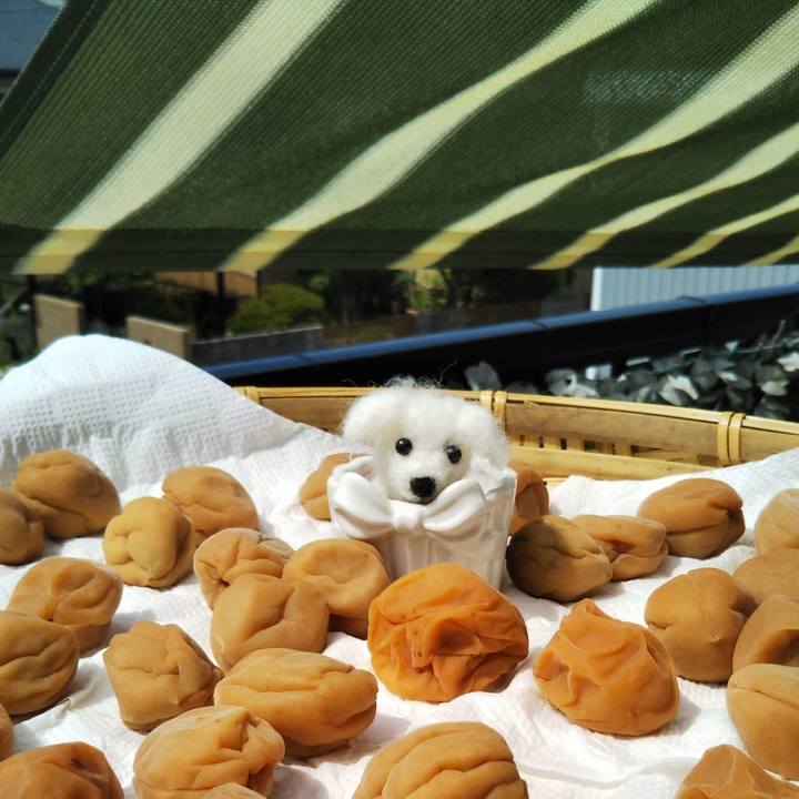 04ca2534 36c6 47d7 b2ce a523bc0473cd 1531270904722