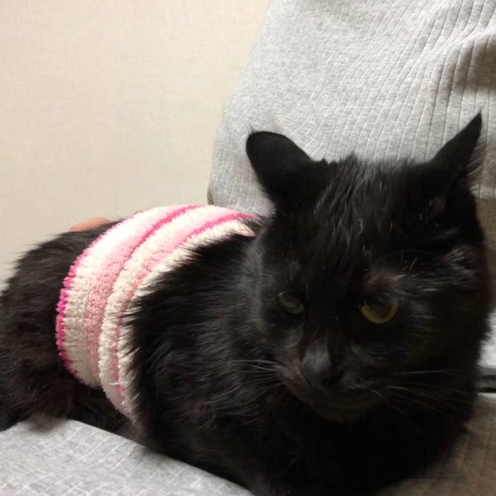 04ca406f 9e95 4a93 880b 1af3a50c929a 1587555063146