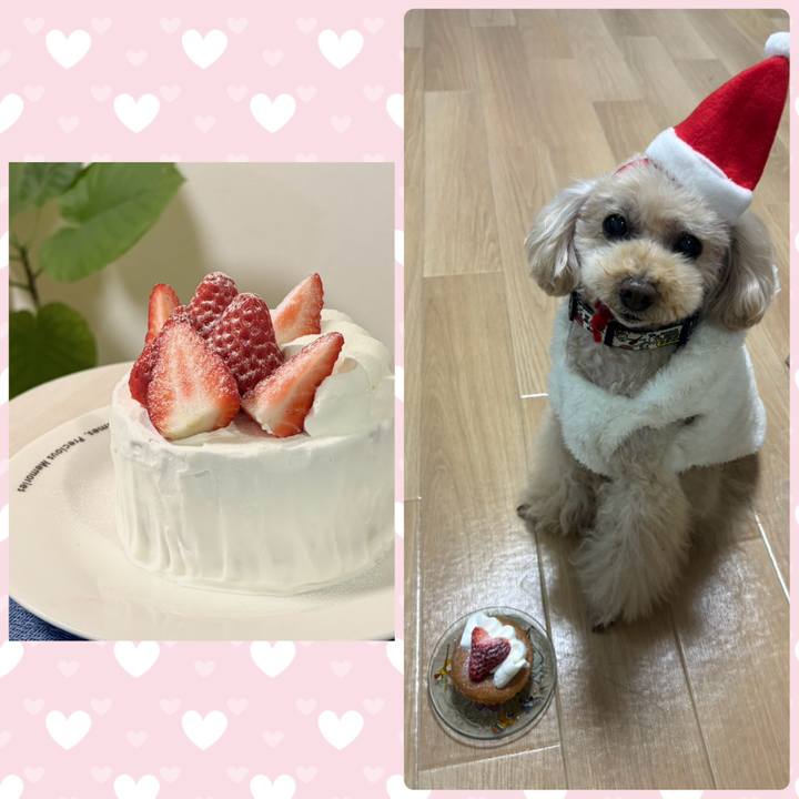 04ca49ab 7c3b 4e29 a04e 76d25fa6b714 1766717084831