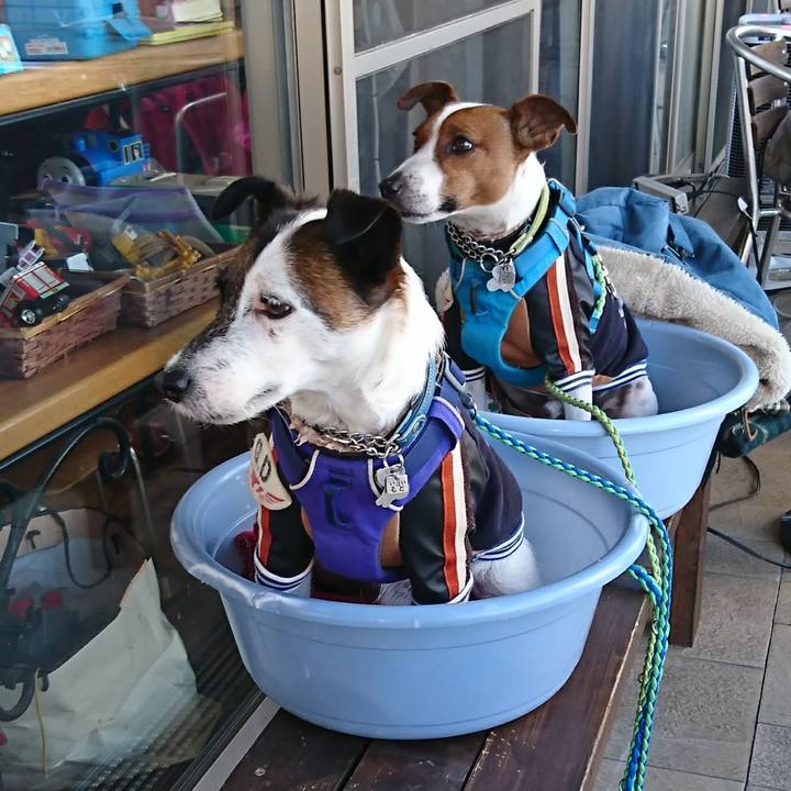 04ca56f9 277e 4340 9f5f ab87523cef38 1613477140855