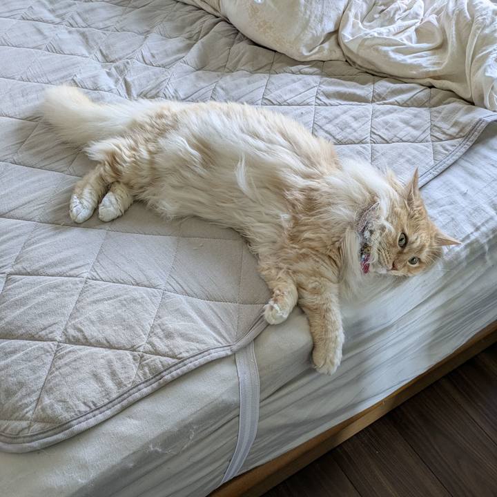 04ca77ff 2dc8 4d38 9db5 e9009620cae1 1750206850858